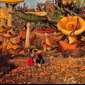 Meet your Posher, Dean